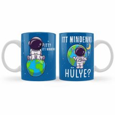 Bögre 300m, Itt mindenki hülye? Itt mindenki B1004