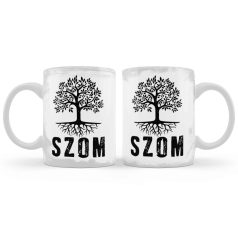 Bögre 300m, Fa SZOM B1005