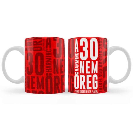 Bögre 300ml, 30 nem öreg B1031