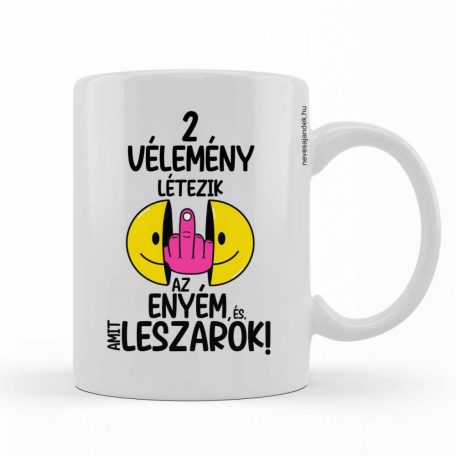 Bögre 300ml, 2 vélemény létezik BX019