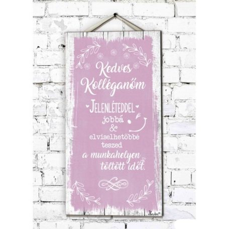 Fali dekor kép, Kedves kolléganőm 46*25*0,5cm New FD046
