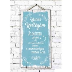 Fali dekor kép, Kedves kollégám 46*25*0,5cm New FD047