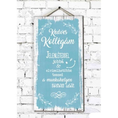 Fali dekor kép, Kedves kollégám 46*25*0,5cm New FD047