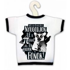 Üvegpóló, Főnök KPX038