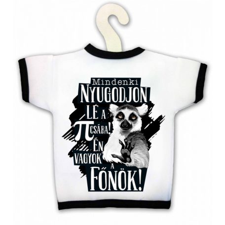Üvegpóló, Főnök KPX038