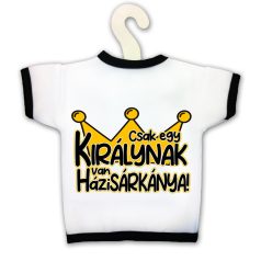 Üvegpóló, Csak egy királynak van házisárkánya KPX095