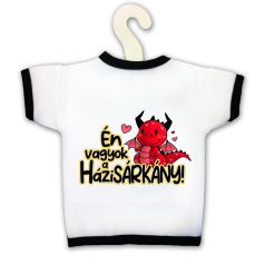 Üvegpóló, Én vagyok a házisárkány KPX096