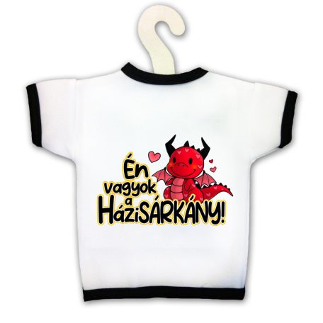Üvegpóló, Én vagyok a házisárkány KPX096