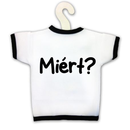 Üvegpóló, Miért? KPX111