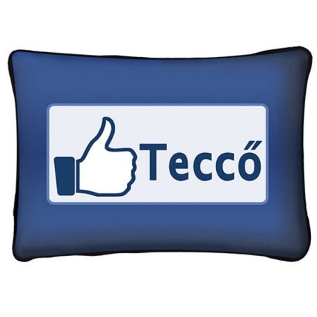 Párna 37cm, Teccő New P027