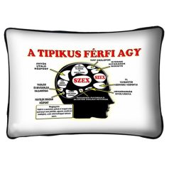 Párna 37cm, Tipikus férfi agy New P029