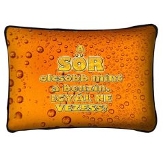 Párna 37cm, A sör olcsóbb mint a benzin! New P035