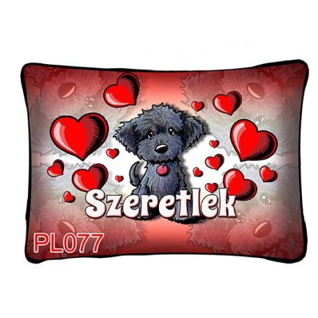Párna 37cm, Szeretlek New PL077