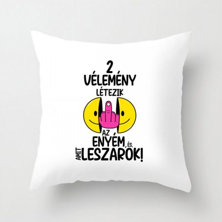 Párnahuzat 40*40cm, 2 vélemény létezik... VPX019