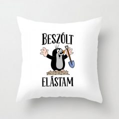 Párnahuzat 40*40cm, Beszólt elástam VPX021