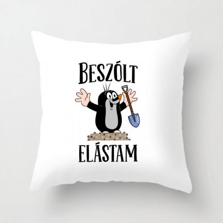 Párnahuzat 40*40cm, Beszólt elástam VPX021