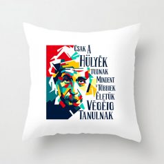 Párnahuzat 40*40cm, Csak a hülyék tudnak mindent VPX045